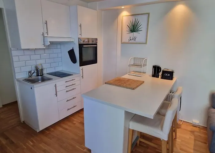 公寓 1 Bedroom With A View *